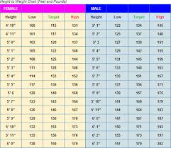 Bearware Bears High Protein Low Carb Diet Plan