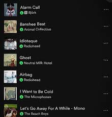 I tried this trend🤭 #radiohead #neutralmilkhotel #bjork