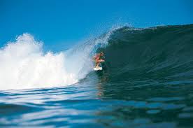 Image result for foto surfínie