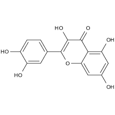 Image result for Croton steenkampianus