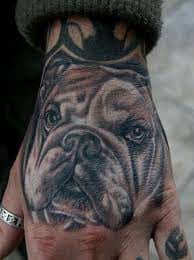 A step by step guide. Bulldog Tattoo Designs Meanings And Ideas Tatring