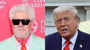 My Big Fat American Gypsy Wedding': 'What Do You Think Of A 24-Karat Gold  Dress?' (VIDEO)