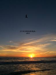 On and off instagram | 101 sunset quotes. Nature Aesthetic Sunset Quotes Novocom Top