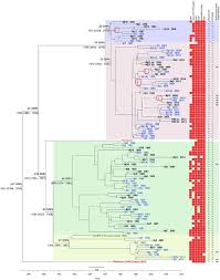 frontiers epidemiology of danish aeromonas salmonicida