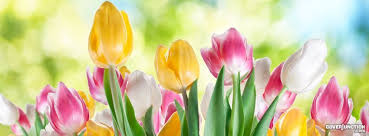 Blog, crafts & diy decorations. 16 Fb Covers Spring Ideas Fb Covers Facebook Cover Facebook Cover Photos