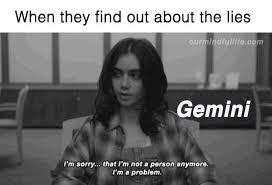 Mercury is gemini's ruler, so messages and perceptual tricks are its medium. 34 Funny Gemini Memes That Are So True It Hurts Artofit