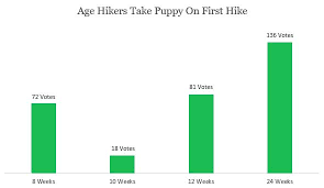 How Old Should Your Dog Be Before Their First Hike