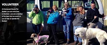 Homeward bound schnauzer rescue, inc. Homeward Bound Pet Shelter