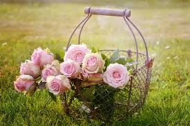 Image result for love girl shayari