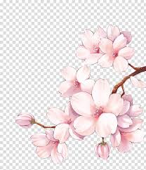 Paper Cherry Blossom Watercolor Painting Flower Cherry Blossom Transparent Background Cherry Blossom Painting Cherry Blossom Watercolor Cherry Blossom Drawing