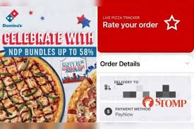 Amazon.Com: The Domino'S Story: How The Innovative Pizza Giant Used  Technology To Deliver A Customer Experience Revolution (The Business  Storybook Series): 9781713527466: Turner, Marcia Layton, Fuertes, James:  Books