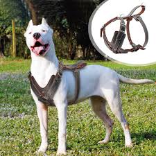 Dog Harness Genuine Leather Large Dogs Labrador German Shepherd Walking Harness Ebay Dog Harness Dog Harness Leather Large Dog Harness