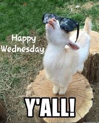 Funny good morning hump day memes. Happy Hump Day Funny Good Morning Images Quotes Facebook