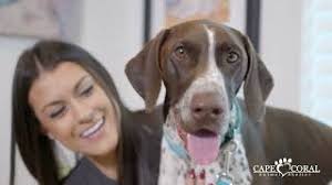 Cape Coral Animal Shelter & Veterinary Clinic