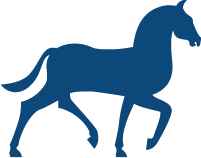 Anschließend kann das pferd mit equioxx® 8,2 mg/g paste weiterbehandelt werden. Pferde Alles Fur Ihr Pferd Kaufen I Medpets De