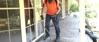 They offer a wide variety of services that will address any issue you may have with pests and termites. Pest Control Sacramento Ca 916 378 5102