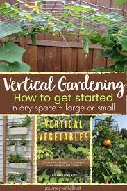 Vertical Vegetables Unique Diy Ideas For Any Space The Beginner S Garden Diy Container Gardening Vertical Container Gardening Vertical Vegetable Garden