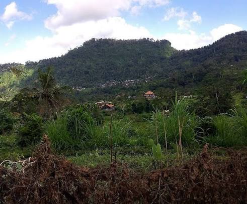 DARYA SIDEMEN TREKKING