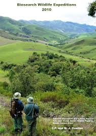 Image result for Ochna katangensis