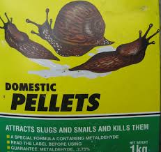 Spread salt on the surface where the slugs are crawling around to kill them by drawing out moisture. A Slug Repellent With No Pesticides Caramel Parsley