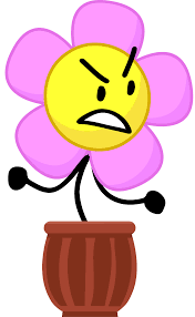 She's had hits such as the platinum single no more parties remix feat. Flower Battle For Dream Island Wiki Fandom