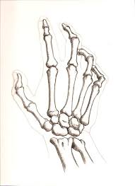 Skeleton Pictures Hand Skeleton Drawings Skeleton Hands Drawing Skulls Drawing