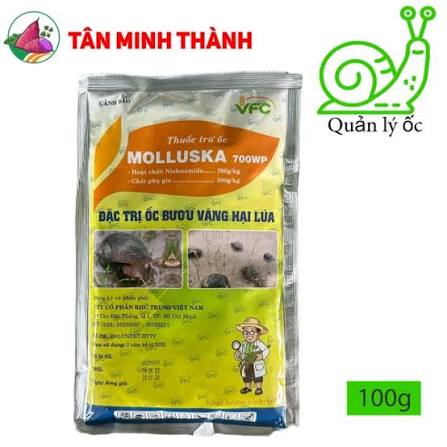 Molluska 700WP