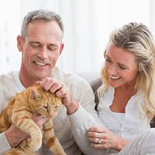 Male cats and female cats have different health concerns but with proper care, either could live a long, fulfilling life. Healthy Skin Coat And Allergy Relief Dermatitis Remedy For Cats