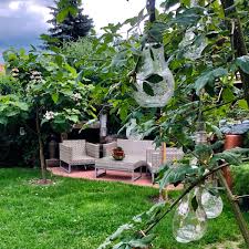 Birnenbaum In 2020 Gartengestaltung Garten Baum