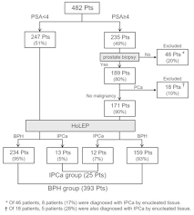 favorable long term oncological and urinary outcomes of