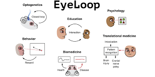 It uses simple text to show all the information and lacks any fancy fonts and graphics. Eye Tracking Github Topics Github