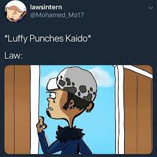 One Piece Memes Law Luffy One Piece Meme One Piece Funny One Piece