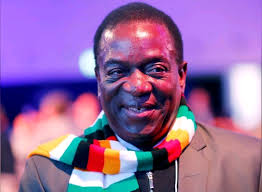 Mnangagwa 'much more in control' now: Eddie Cross