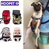 Bring everything your dog needs when hiking or camping in a backpack harness at petco. Https Encrypted Tbn0 Gstatic Com Images Q Tbn And9gcq3z Ub4y8vb Fjcv5pmjb W2dja732xibctd8avmw Usqp Cau