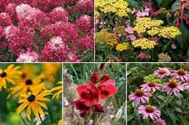 Il vous faut alors déterrer votre fusain à l'aide d'une bêche. Hortensia 7 Bonnes Idees Pour L Associer Au Jardin