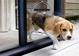These are the general steps for installing your pet door in a standard exterior door. Dog Door Installation For Glass Valiant Glass Sydney