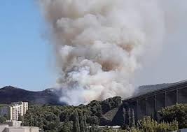 La zone industrielle est bloquée par les forces de lâ€™ordre. Violent Incendie A Martigues Au Bord De L A55 300 Pompiers Mobilises Et 14 Hectares Detruits Actu Marseille