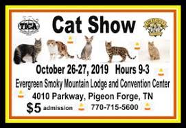 Join us at companion cat world and get a membership card, savings, and fun events! Cat Show Wuot