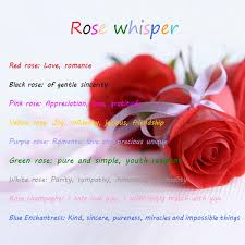 Use the coupons before they're expired for the year 2021. Egrow 100pcs Black Rose Seeds Beautiful Flower Seeds Home Garden Bonsai Plants Seeds Bulbs Home Garden