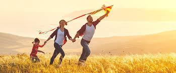 As we are proceeding with the divestment of our lonza specialty ingredients segment, the structural. Segment Introduction Annual Report 2018