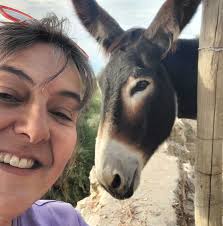 Does anyone know what elevation the water was at its highest point?