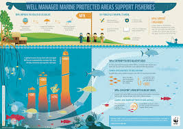 New Infographics From Wwf On Mpas And Fisheries Management Openchannels Forum For Ocean Planning Marine Ecosystem Management Infographic Sustainable Fishing