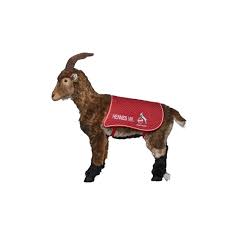 Fc köln hat am dienstag verkündet, dass hennes viii. Hennes Viii Steiff Lebensgross Jetzt Im 1 Fc Koln Fanshop Bestellen