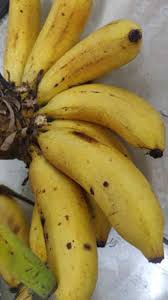 Kawan ekor untuk kumpulan haiwan (in group/s) contoh: Resepi Kek Pisang Bakar