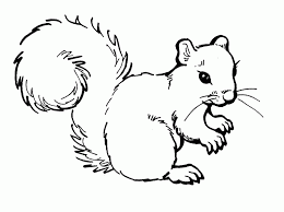 Check spelling or type a new query. Free Printable Squirrel Coloring Pages For Kids Squirrel Coloring Page Animal Coloring Pages Squirrel Clipart