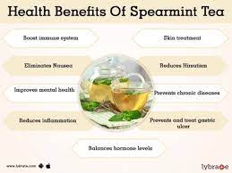 Benefits Of Spearmint Tea And Its Side Effects Lybrate Spearmint Tea Benefits Spearmint Tea Tea Health Benefits