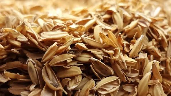 Từ vỏ trấu đến vật liệu có cấu trúc xốp