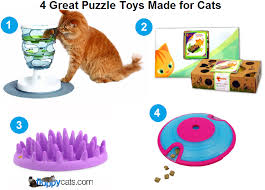 (crash arena turbo stars) is the ultimate robot fighting battle game. Ragdoll Cat Games For Cats Who Love Treats