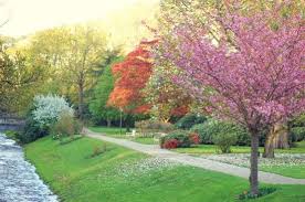 Lichtentaler Allee Baden Germany Trip Advisor Baden Baden