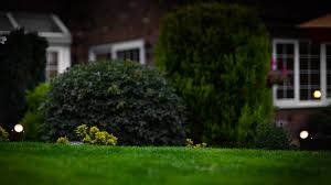 On the site are very durable and made of sturdy materials such as hardened plastics and iron and they come with copper wiring for enhanced performance. Best Outdoor Solar Lights 2021 Let There Be Light In Your Garden But Not Any Wires T3